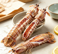 Fresh Mantis Shrimp